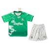 Conjunto (Camiseta+Pantalón Corto) Palmeiras Special Edition 2024 Verde - Niño